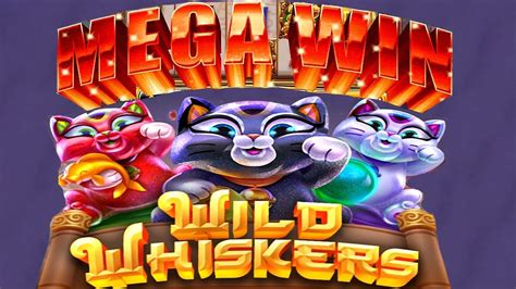 Whisker wins casino bonus